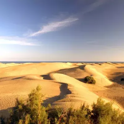 Sexual activities of tourists in dunes destroying a Spanish beach