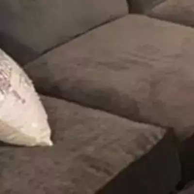 She bought a used sofa and found something living in it