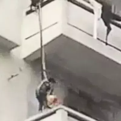 Shocking Footage Shows A Man Risking His Grandchild's Life To Save His Cat