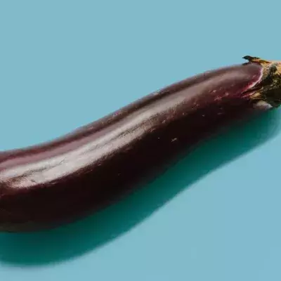 The size of a man's nose can say a lot about the size of his member, study says