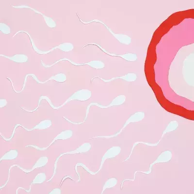 Sperm motility