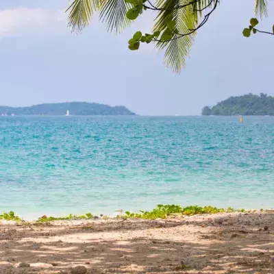 This Is The Tripadvisor For People With Reduced Mobility