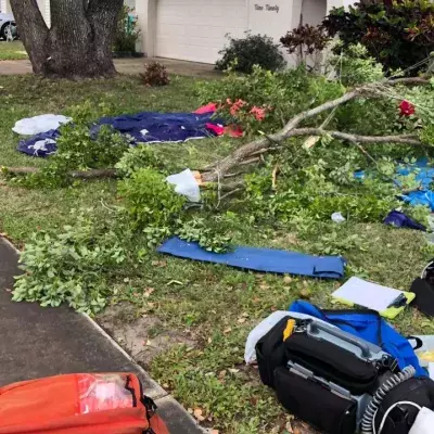 Two skydivers crash-landed into a strangers front yard