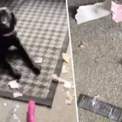 An unfortunate incident