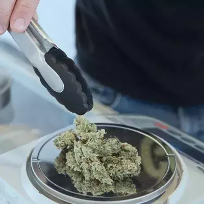 What happens when you smoke marijuana every day for 5 years?