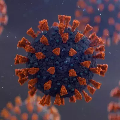 The WHO Announces New Greek Naming System for COVID Variants