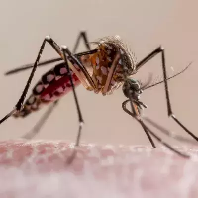 WHO approved world’s first malaria vaccine for rollout in Africa