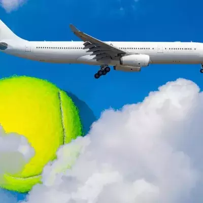 This Is Why You Need To Bring A Tennis Ball On An Aeroplane