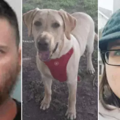A Woman Arranged To Have A Sexual Encounter With A Dog 