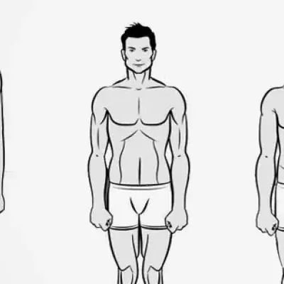 Body Type