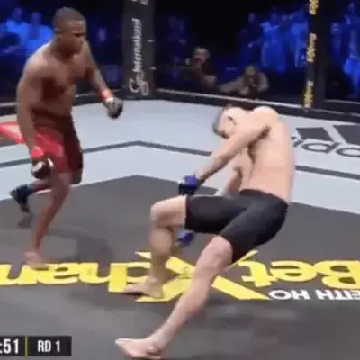 This Knockout Punch Was So Brutal,