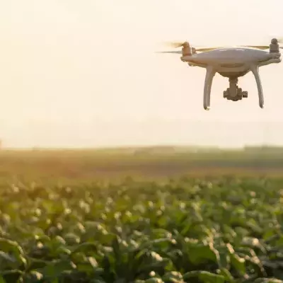 Drones Can Be Very Dangerous: Cloned Dog Becomes A Lifesaver