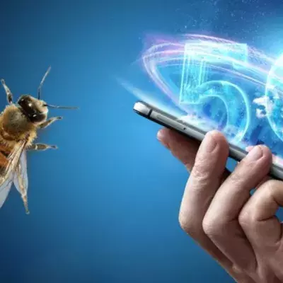  The Terrible And Unexpected Effect 5G Has On Insects