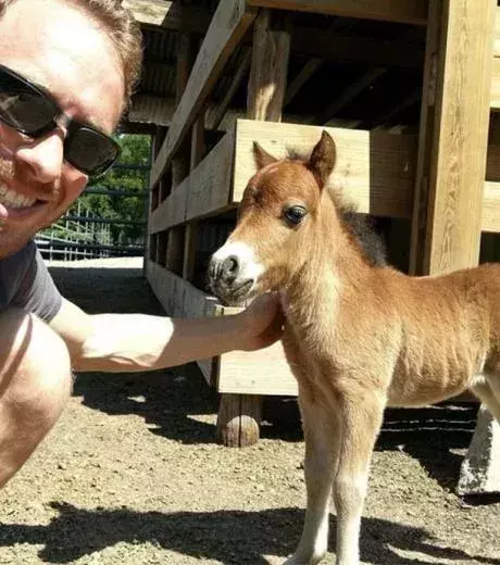 Look at the pocket horse!