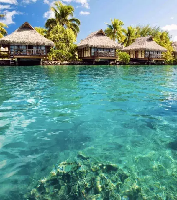 12 - Bahamas: 29.8 homicides per 100,000 inhabitants per year