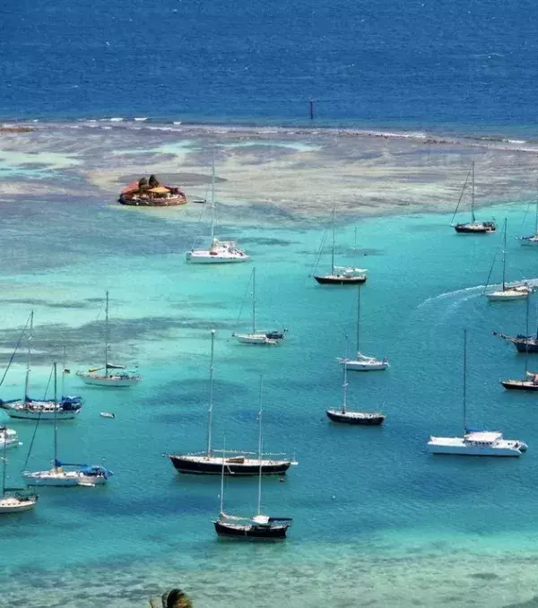 15 - Saint Vincent and the Grenadines, in the Southern Caribbean: 25.6 homicides per 100,000 inhabitants per year