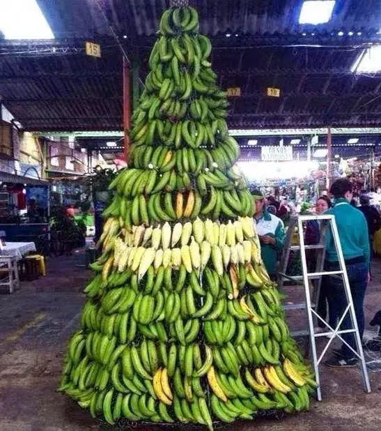 An Antillean Christmas tree