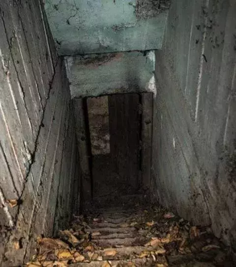 The door down some stairs: you have a free spirit and you love life. You’re afraid of death and the unknown. You should eat better, exercise more and take care of yourself.