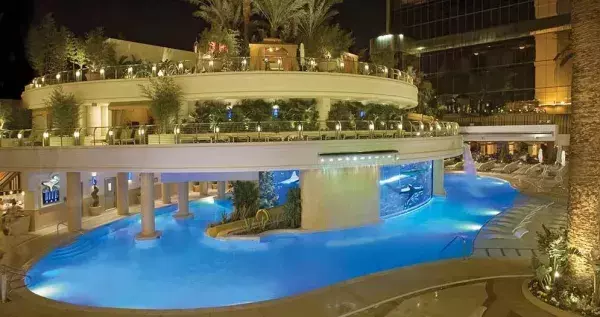 The Golden Nugget pool in Las Vegas, Nevada! It has an aquarium and a slide...unbelievable!