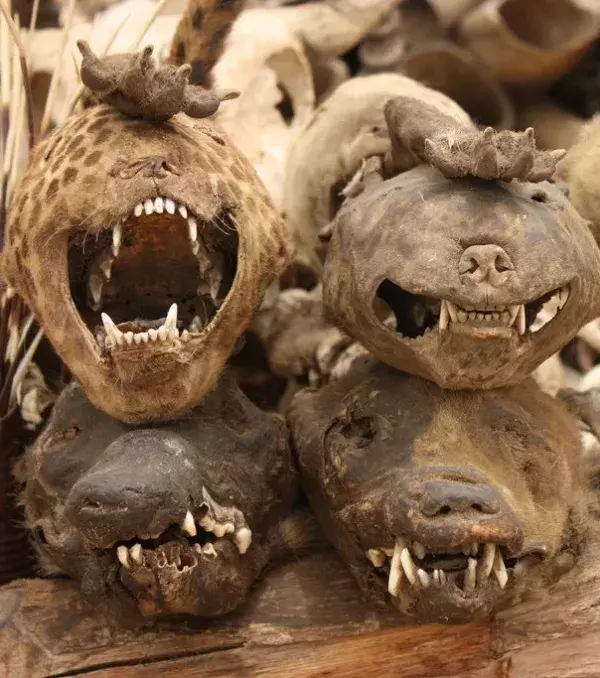 Mummified animals and all sorts of voodoo items are sold at the Akodessewa market in Togo