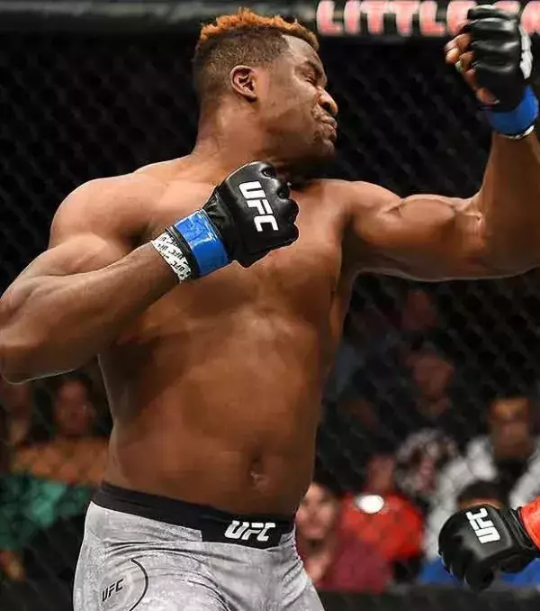 KO of the year goes to Francis Ngannou for his nasty uppercut on Overeem.