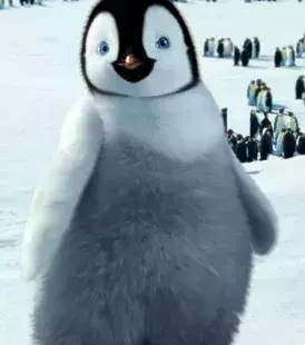Mumble, the adorable penguin from 'Happy Feet'